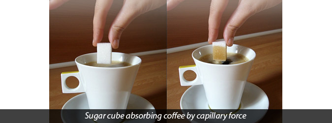 sugar cube absorbing coffee by capillary force